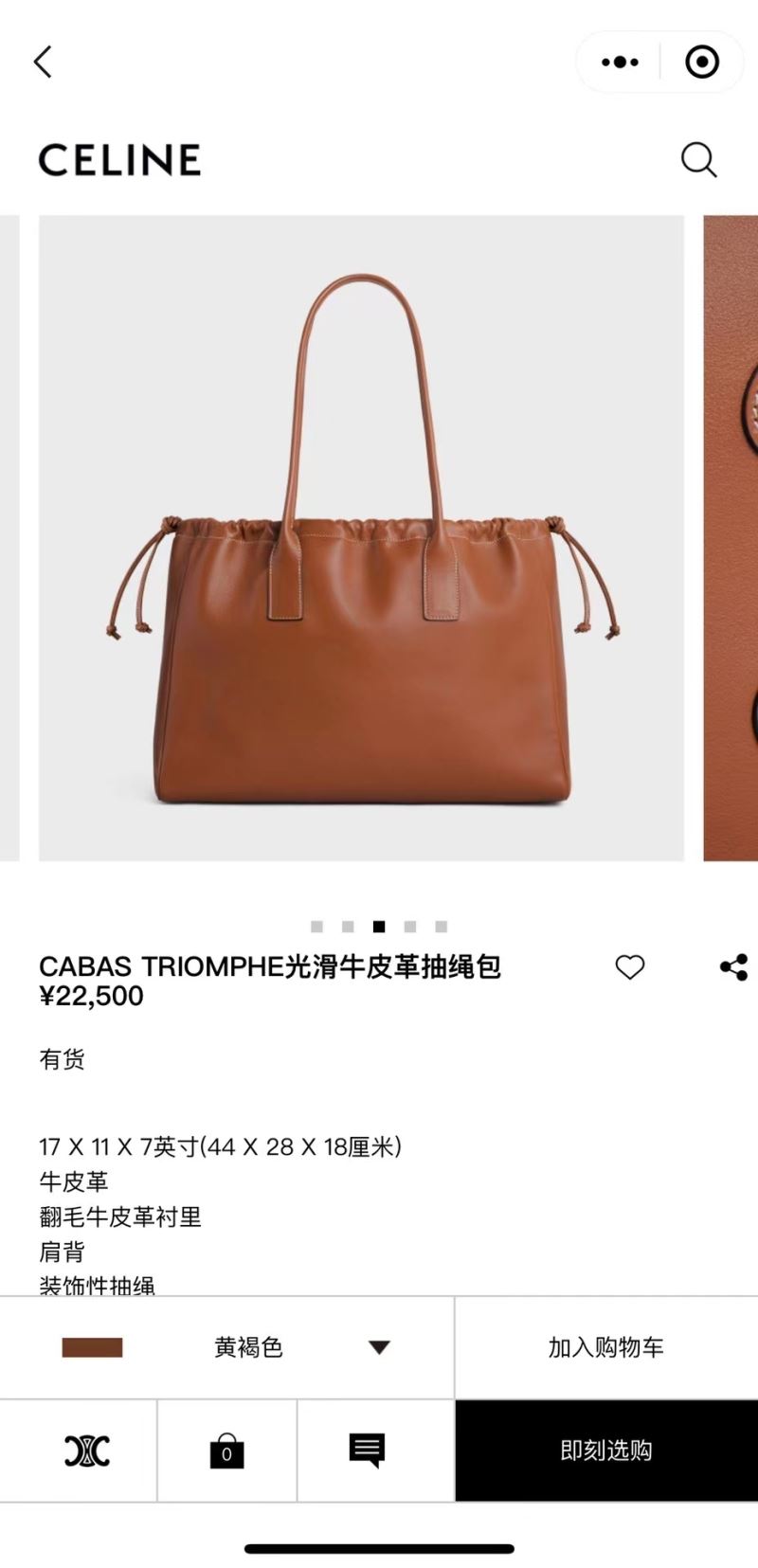 Celine Shopping Bags